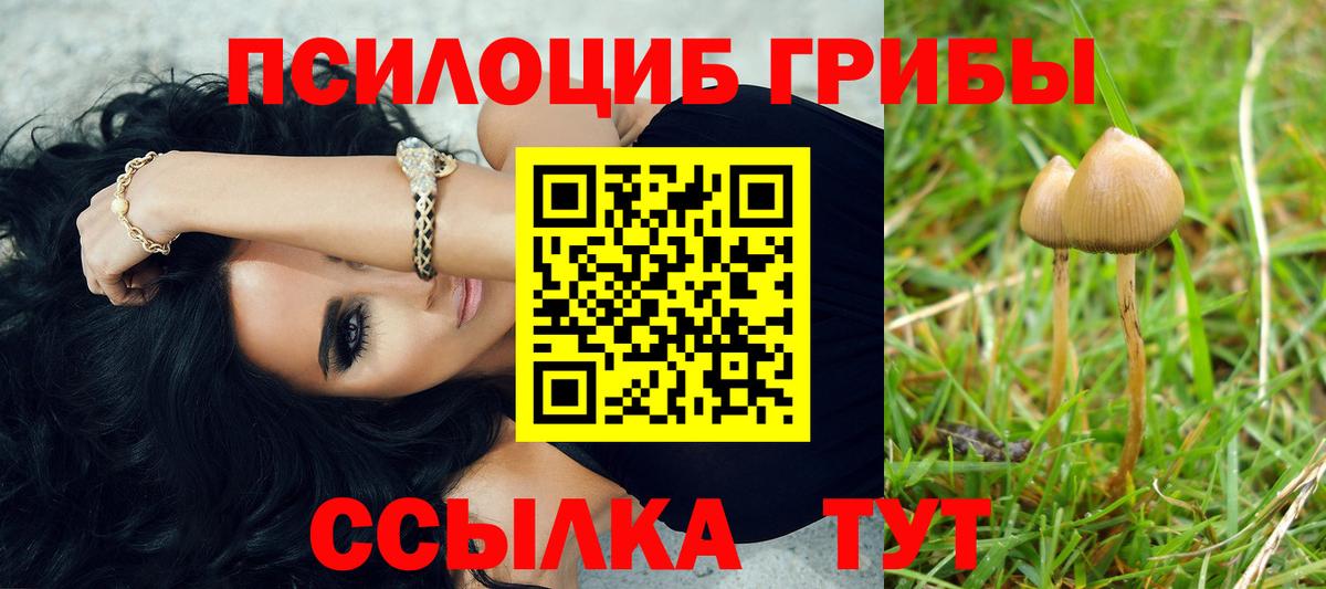Псилоцибиновые грибы мицелий Артём